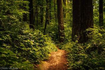 image-78-1024x683.png